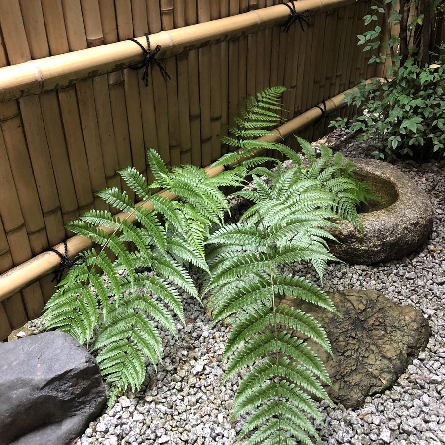 Vila Naokonoza Omiya Gojo Kjóto Exteriér fotografie