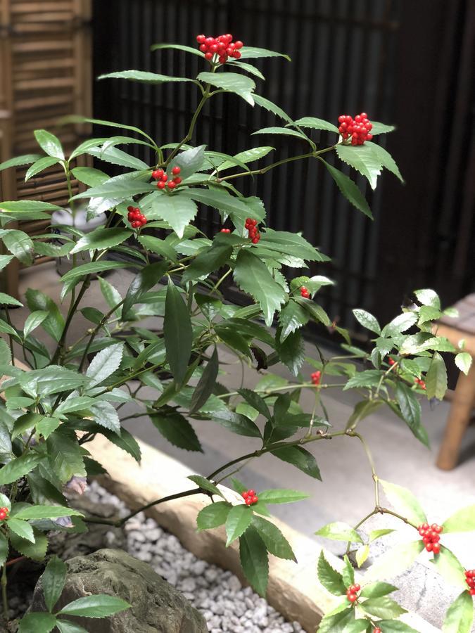 Vila Naokonoza Omiya Gojo Kjóto Exteriér fotografie
